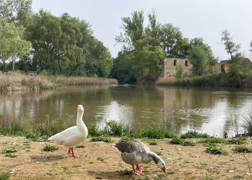 Casa Rural Berta El Picazo Екстериор снимка