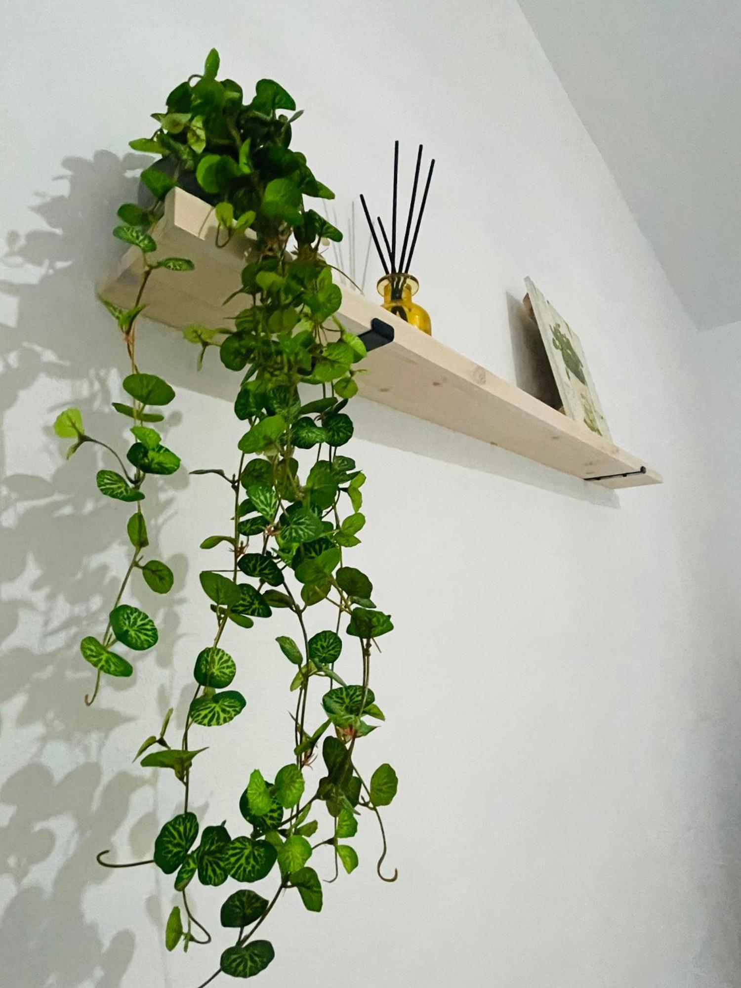 Casa Rural Berta El Picazo Екстериор снимка